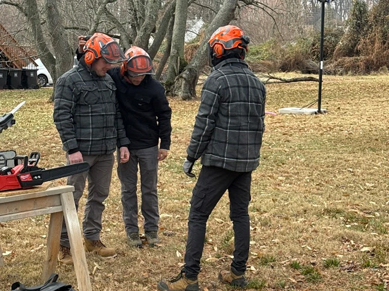 Consultation with an arborist for professional tree services in Bucks County and surrounding areas.