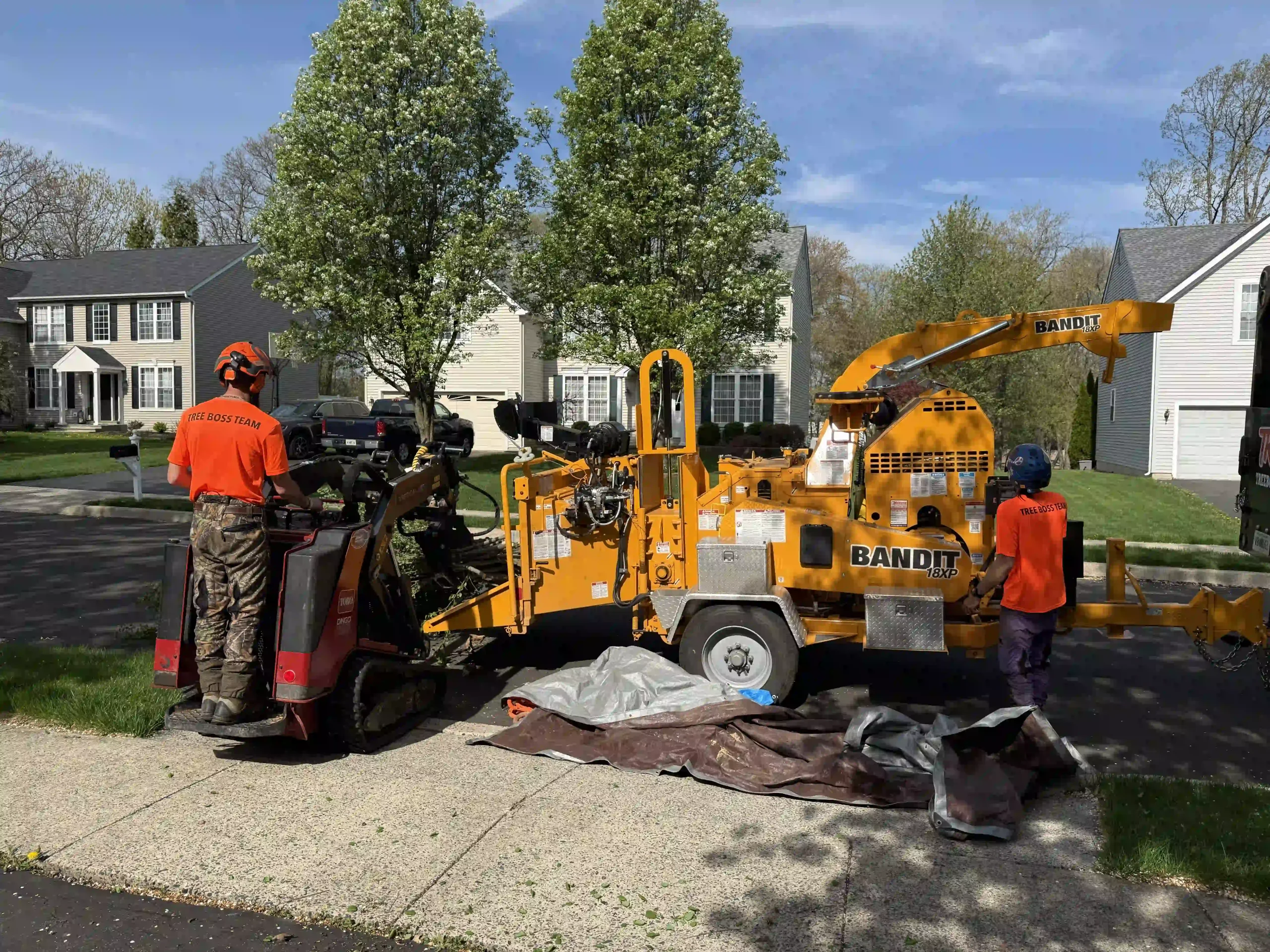 Certifications showcasing Tree Boss's expertise in brush cutting services.