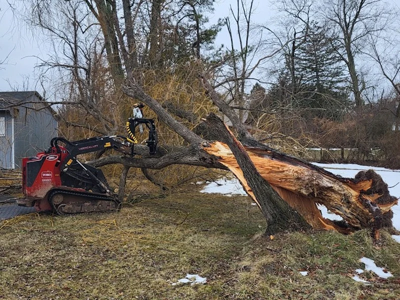 Emergency tree service crew removing a fallen tree from a property in Bucks County PA