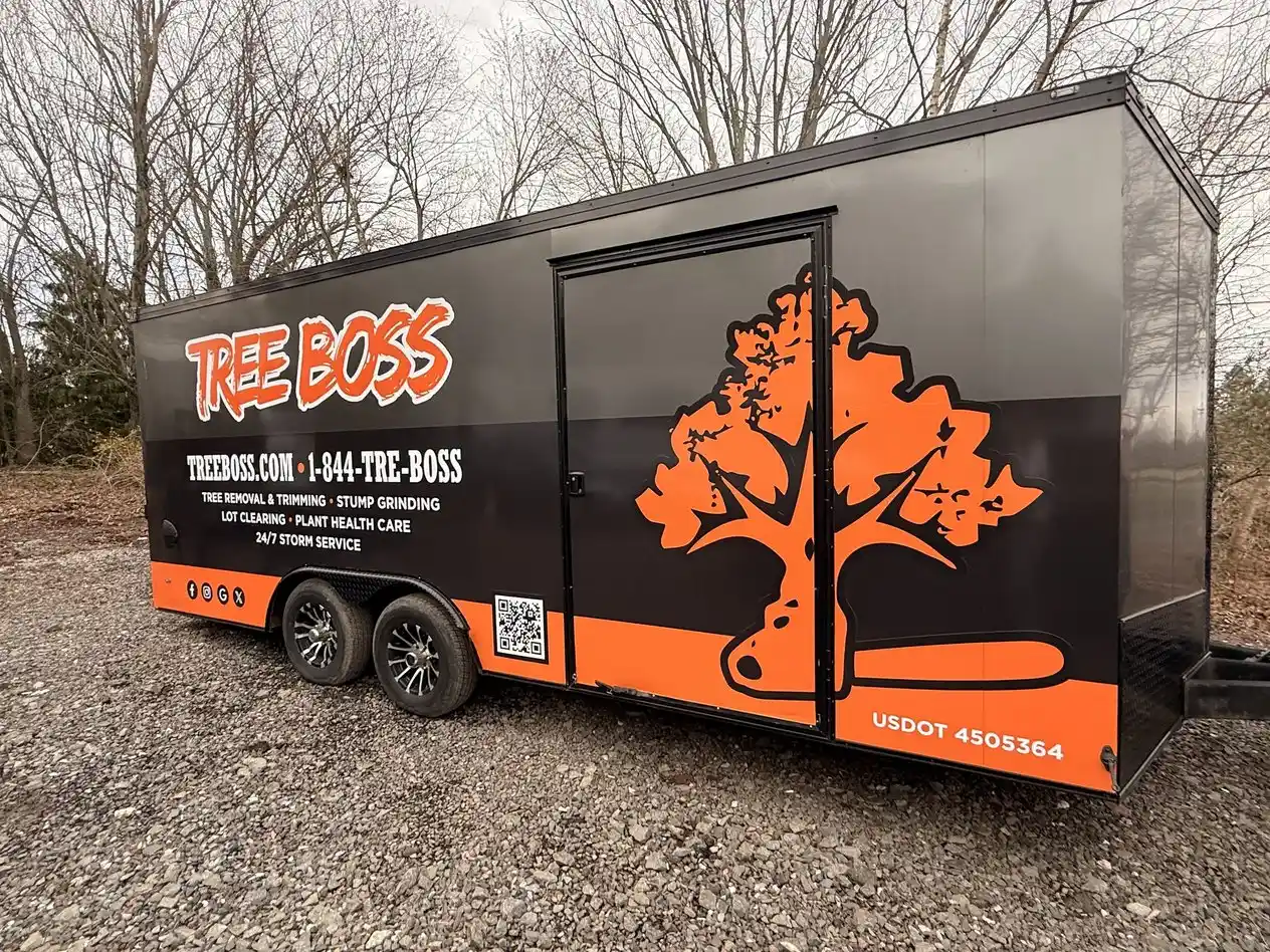 Gallery showcasing Tree Boss's professional tree care services across Pennsylvania communities.
