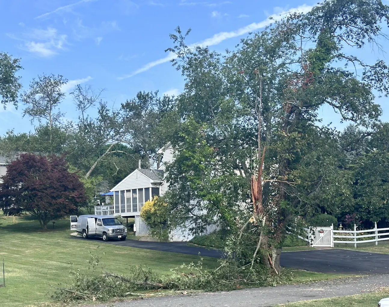 Tree Boss arborist safely dismantling a hazardous, leaning tree in Bucks County PA