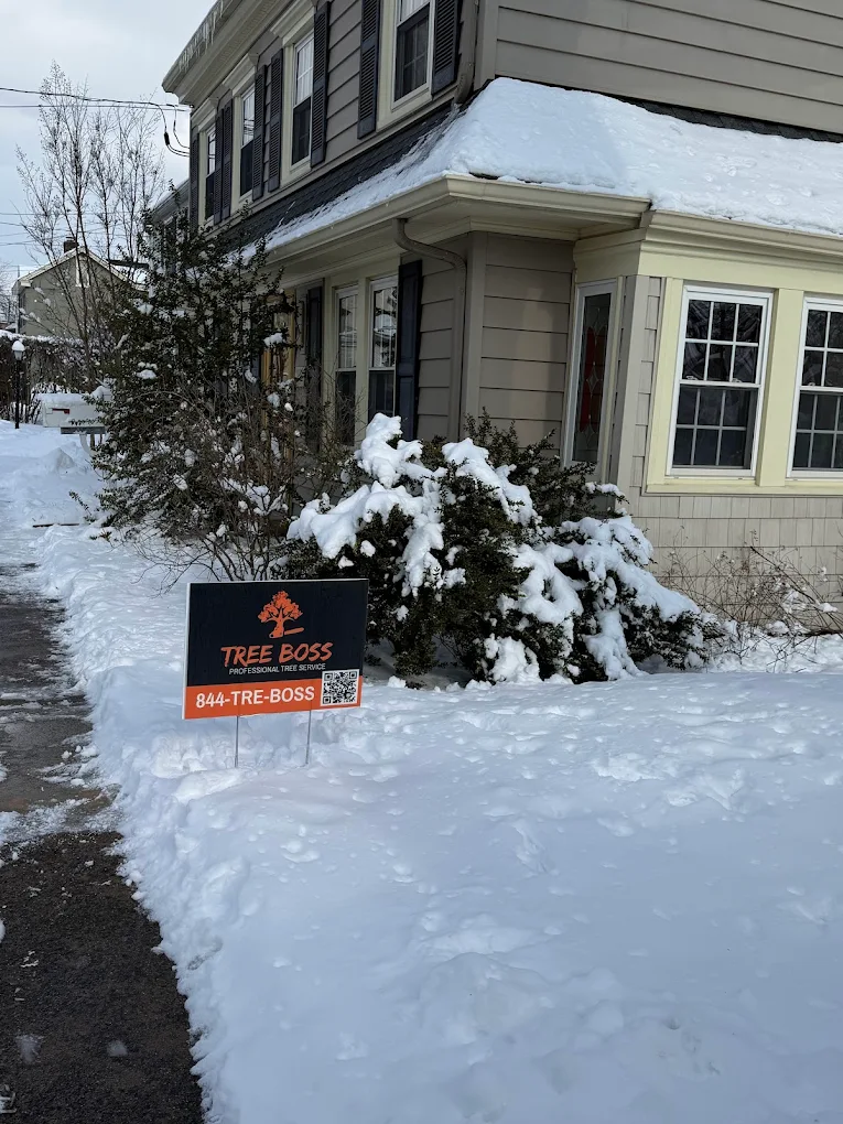 Expert tree care services for commercial properties and municipalities in Bucks County.
