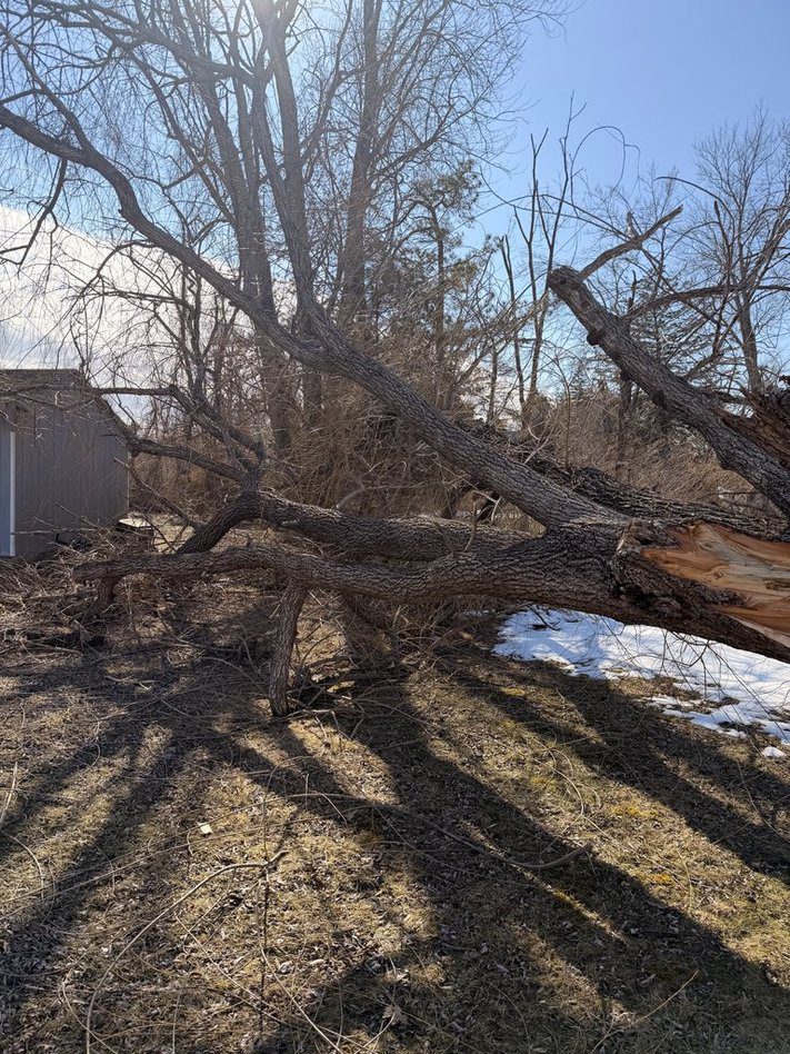 Expert tree removal and storm damage cleanup in Bucks County, PA.