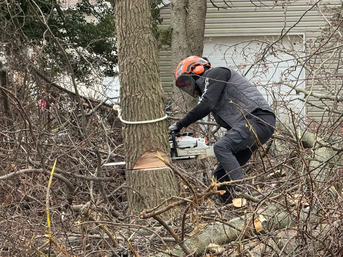 Professional Tree Removal Completed with Fast Turnaround and Clean Results in Bucks County, PA