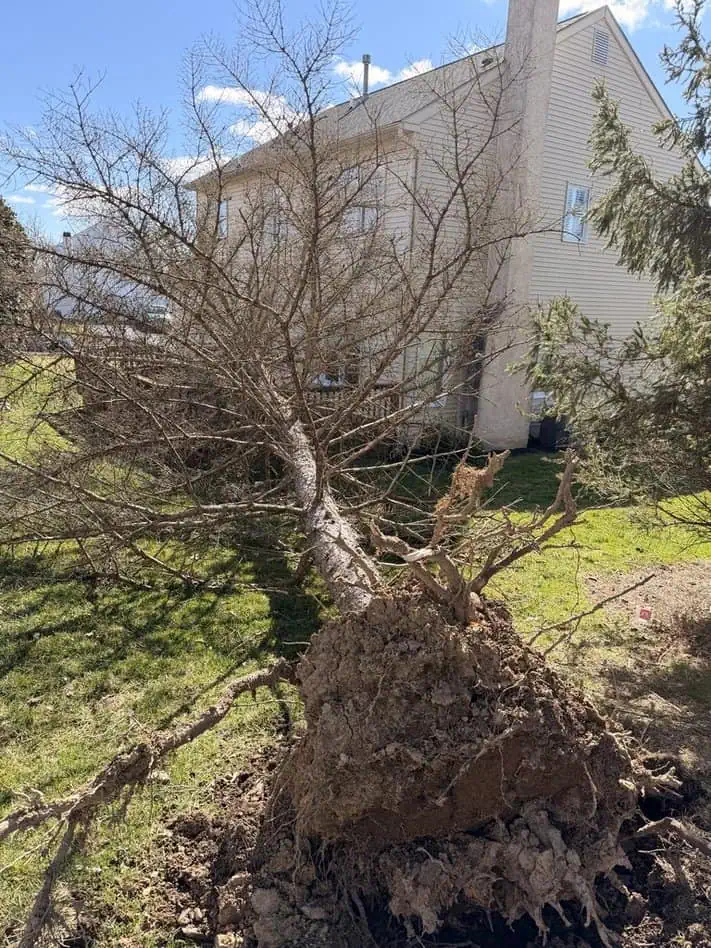 What New Hope Property Owners Should Check Before Summer Storms