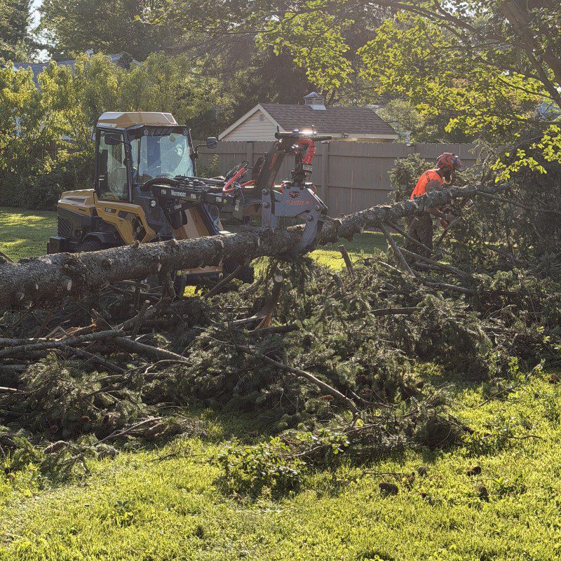 Fast response for fallen tree removal and storm damage in Bucks County.