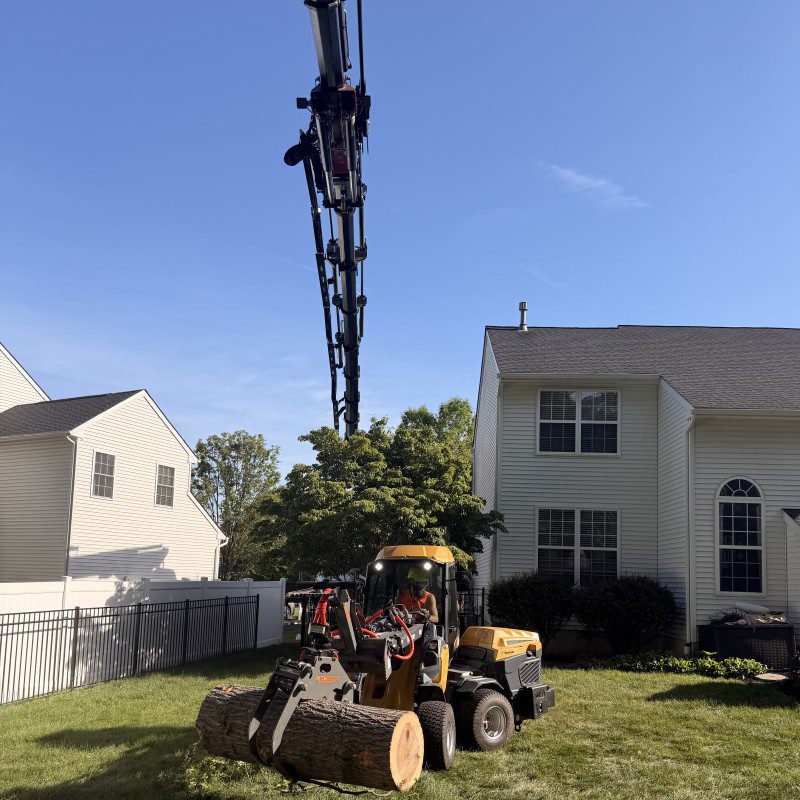 Tree Boss equipment used for efficient tree removal and care.