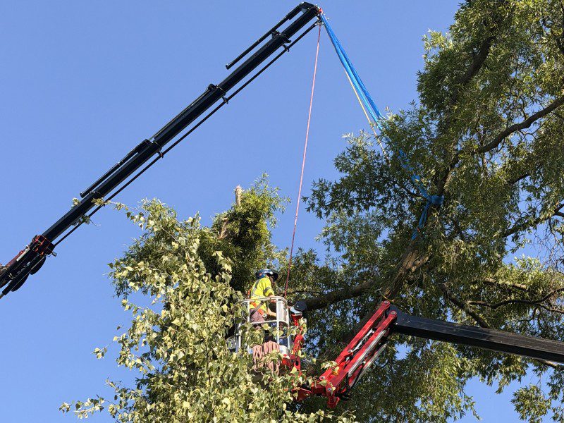 Equipment used for safe tree removal in Bucks County, ensuring property protection.