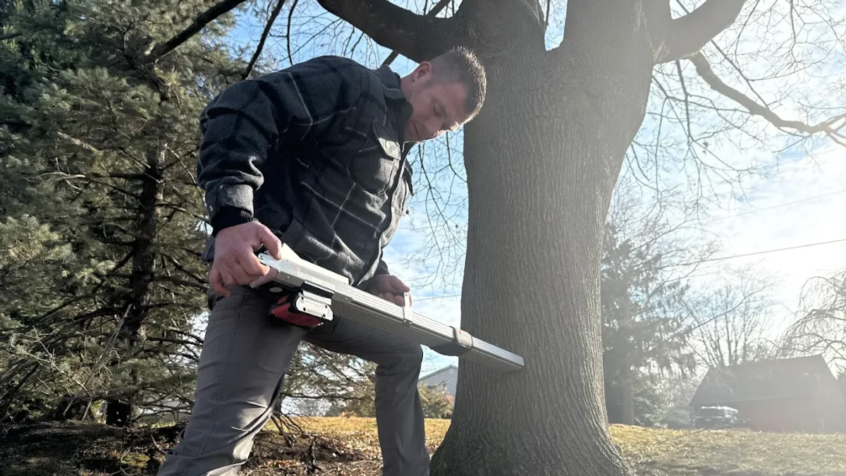 Tree Boss ISA certified arborist assessing a tree in Bucks County Pennsylvania