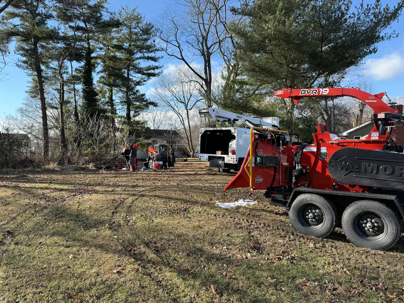 Tree Boss professional tree service in Warminster PA